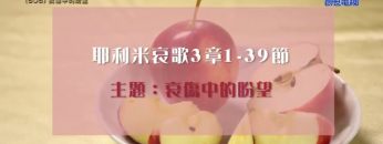 《靈情日記 – 舊約》- 第606集﹕哀傷中的盼望