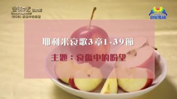 《靈情日記 – 舊約》- 第606集﹕哀傷中的盼望