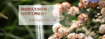 《靈情日記 – 舊約》- 第620集﹕傳承者