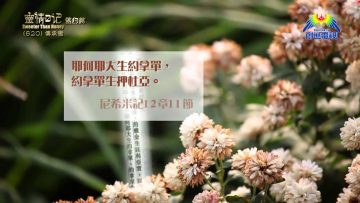 《靈情日記 – 舊約》- 第620集﹕傳承者