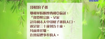 《靈情日記 – 舊約》- 第650集﹕彼此配搭