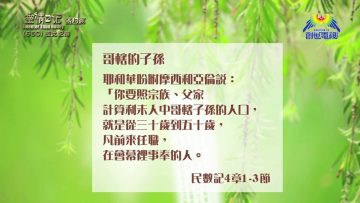 《靈情日記 – 舊約》- 第650集﹕彼此配搭