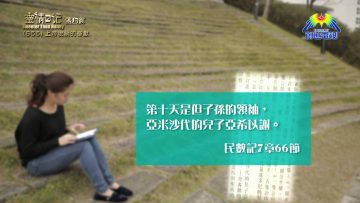 《靈情日記 – 舊約》- 第655集﹕上帝悅納的奉獻