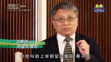 《靈情日記 – 舊約》- 第706集﹕合乎上帝心意的果子