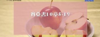 《靈情日記 – 舊約》- 第714集﹕謙卑而感恩