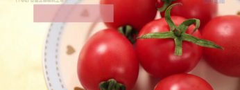 《靈情日記 – 舊約》- 第744集﹕公義又憐憫的上帝