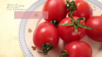 《靈情日記 – 舊約》- 第744集﹕公義又憐憫的上帝