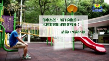 《靈情日記 – 舊約》- 第895集﹕受苦仍得安慰