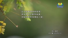 [同心禱告]求主醫治我們的地
