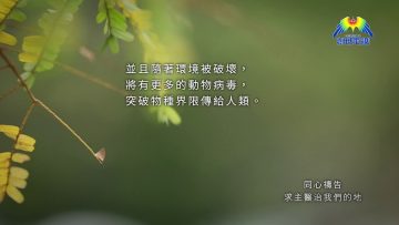 [同心禱告]求主醫治我們的地