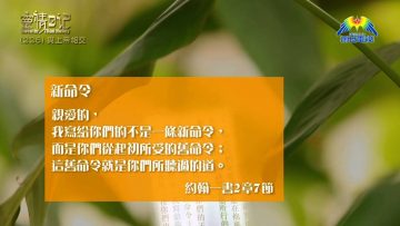 創世電視《靈情日記》第226集 – 與上帝相交