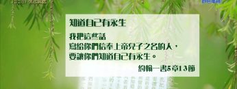 創世電視《靈情日記》第228集 – 信心果效