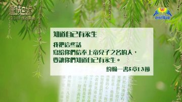 創世電視《靈情日記》第228集 – 信心果效