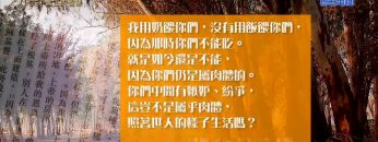 創世電視《靈情日記》第109集 – 真正的智慧