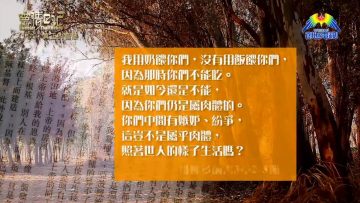 創世電視《靈情日記》第109集 – 真正的智慧