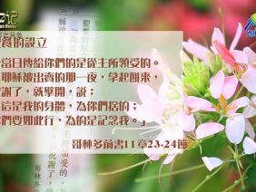 創世電視《靈情日記》第115集 – 男女角色
