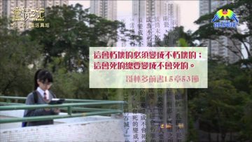 創世電視《靈情日記》第119集 – 復活真相