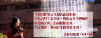 創世電視《靈情日記》第122集 – 活出耶穌的美德