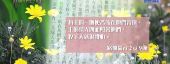 創世電視《靈情日記》第131集 – 為你們生了救主
