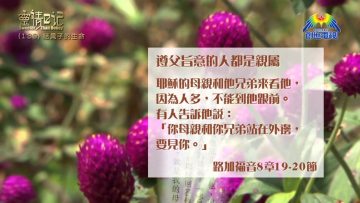 創世電視《靈情日記》第139集 -結果子的生命