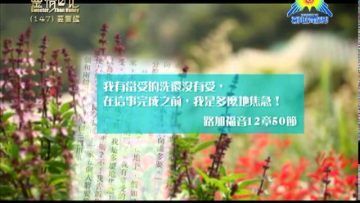 創世電視《靈情日記》第147集 – 要警醒