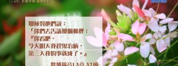 創世電視《靈情日記》第148集 – 把握時機 檢視自己