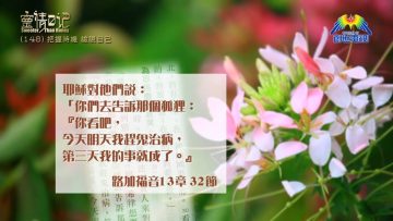 創世電視《靈情日記》第148集 – 把握時機 檢視自己