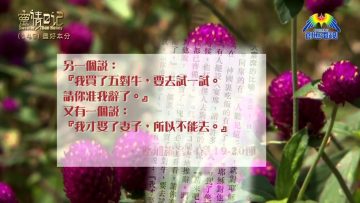 創世電視《靈情日記》第149集 – 盡好本分