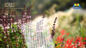 創世電視《靈情日記》第166集 –  活出見證  彼此建立