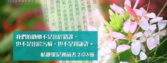 創世電視《靈情日記》第174集 –  盼望生堅忍