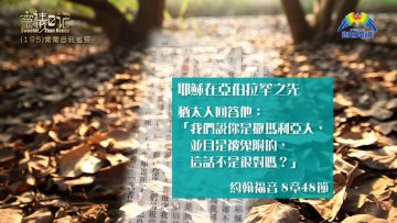 創世電視《靈情日記》第195集 –  常常自我省察