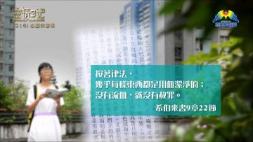 創世電視《靈情日記》第216集 – 心靈的會幕