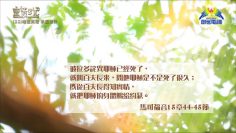 創世電視《靈情日記》第22集 – 維護真理 承認信仰