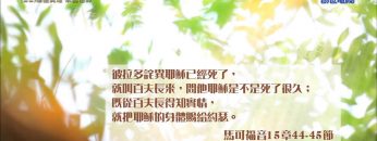 創世電視《靈情日記》第22集 – 維護真理 承認信仰