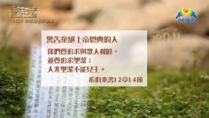 創世電視《靈情日記》第220集 – 將困難看作操練