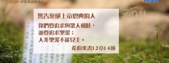 創世電視《靈情日記》第220集 – 將困難看作操練