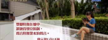 創世電視《靈情日記》第239集 – 聽道 行道 遵道