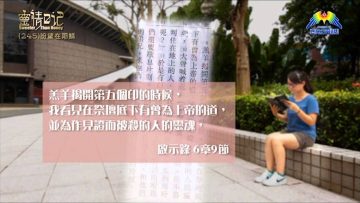 創世電視《靈情日記》第245集 – 盼望在耶穌