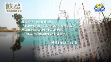 創世電視《靈情日記》第26集 – 活潑的生命