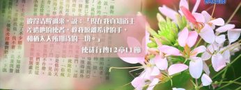 創世電視《靈情日記》第36集 – 在上帝沒有難成的事