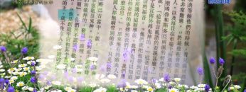 創世電視《靈情日記》第42集 – 像基督的生命