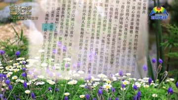 創世電視《靈情日記》第42集 – 像基督的生命