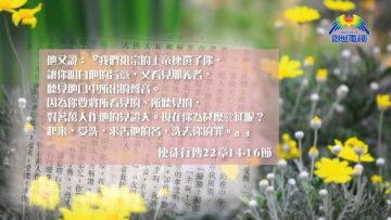 創世電視《靈情日記》第47集 – 善用身分 分享信仰