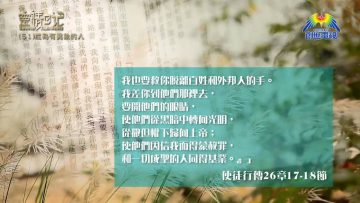 創世電視《靈情日記》第51集 – 成為有異象的人