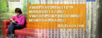 創世電視《靈情日記》第67集 – 豐盛人生之旅