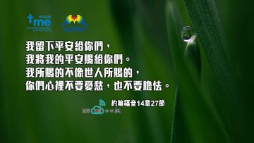 約翰福音14章27節_1920