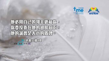 詩篇91篇4節_1920