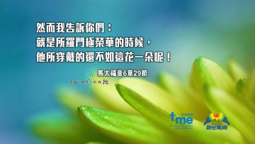 馬太福音6章29節_web