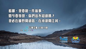 以賽亞書-43章19節-web