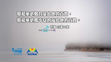 詩篇-29篇11節-web